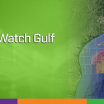 Discover the Market Watch Gulf of Mexico-Webl