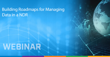 Building Roadmaps for Managing Data in a NDR